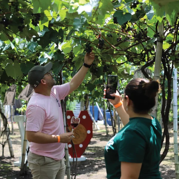 TOUR CONOCE<br>CAVA JARAMILLO SOLERA - Imagen 4